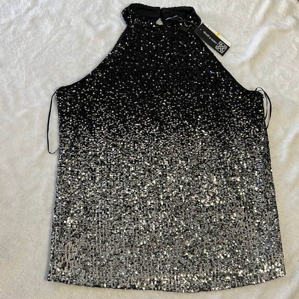 Cable & Gauge Ombre Sequin Blouse